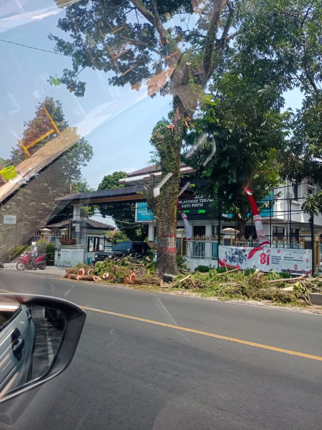 
 Pemred Tri Tangtu Buana “Nendi Rafael”  Apresiasi Gercep Pemkab Cianjur Tertibkan Pohon Rawan Tumbang di Jl. Raya Bandung